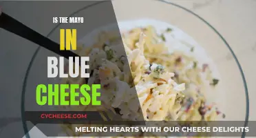Blue Cheese Mayo: Is It Real or Fake?