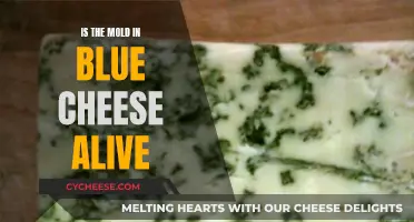 Blue Cheese Mold: Alive and Kicking?