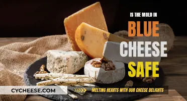Blue Cheese Mold: Safe Superfood or Health Hazard?