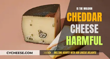 Unveiling the Safety of Moldon Cheddar: Is It Harmful?