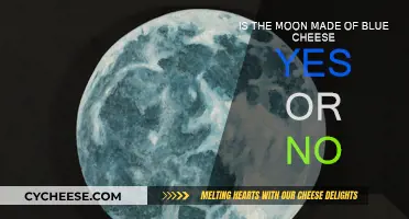 Moon's Blue Cheese Mystery: Unraveling the Cosmic Conundrum