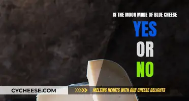 Moon's Mystery: Blue Cheese or Not?