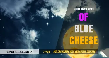 Moon Mystery: Unveiling the Blue Cheese Myth