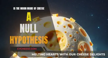 Moon Cheese Hypothesis: A Null Theory Explored