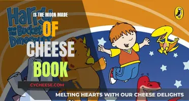 Moon's Cheese Composition: A Book's Perspective
