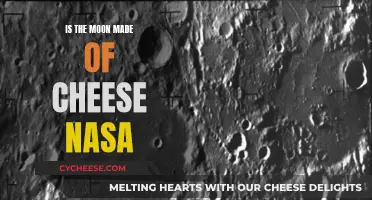 Moon Mystery: NASA's Cheesy Moon Theory Explained