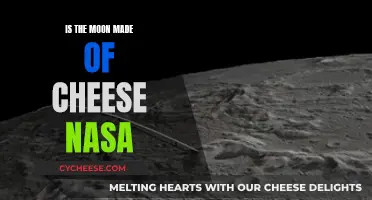 Moon's Cheese: NASA's Verdict on the Lunar Mystery
