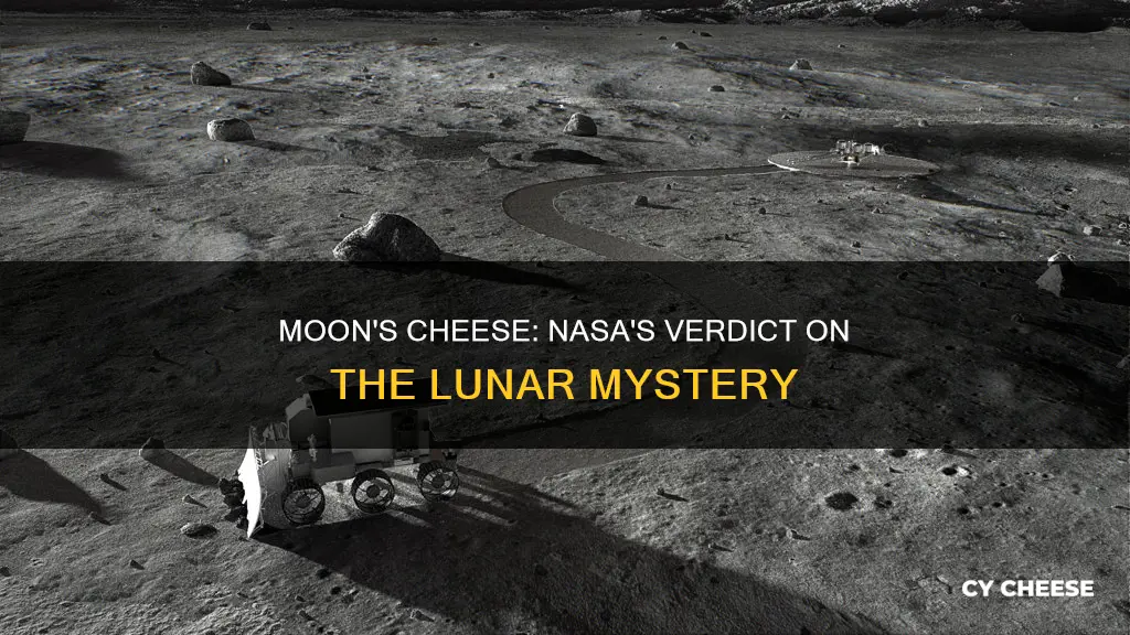 is the moon made of cheese nasa