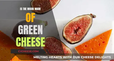 Moon's Green Cheese Theory: Fact or Fiction?