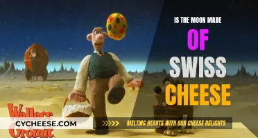 Moon's Swiss Cheese Mystery: Fact or Fiction?