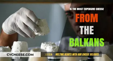 Exploring the Balkans' Priciest Cheese: Is It Worth the Splurge?