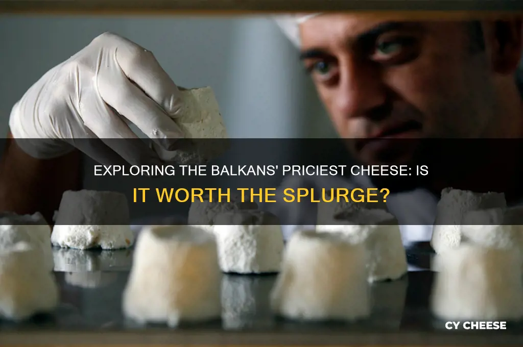 is the most expensive cheese from the balkans