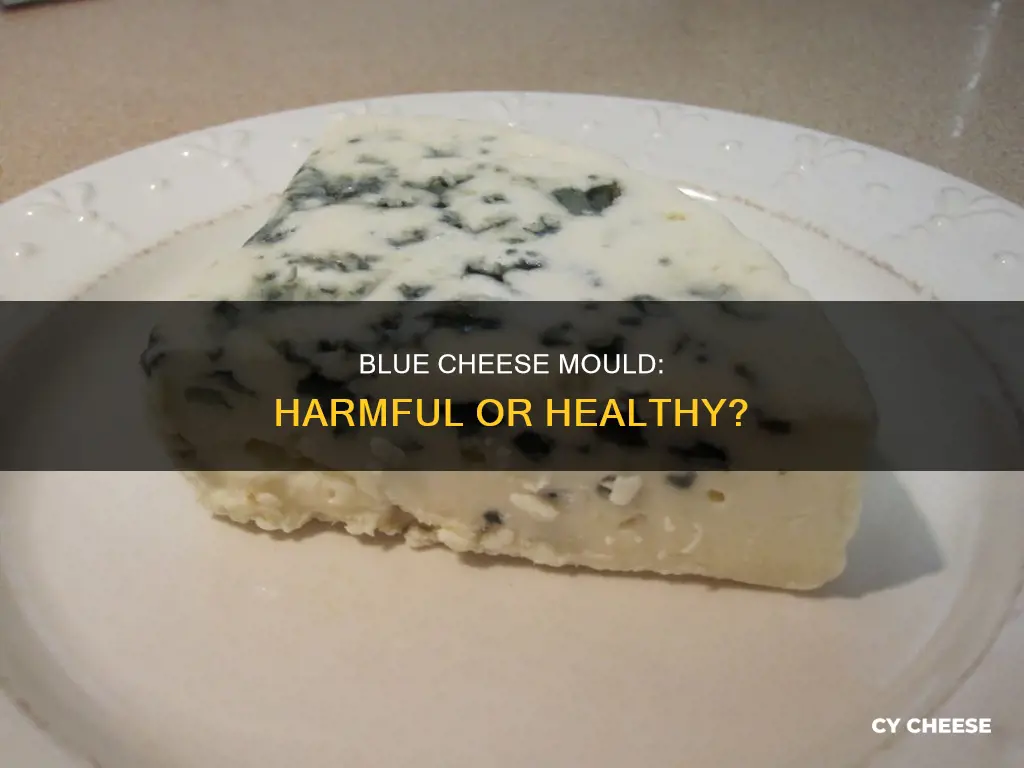 is the mould in blue cheese bad for you