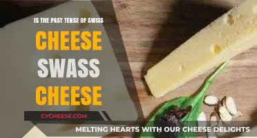 The Swiss Cheese Theory: Past Tense, Present Perfect