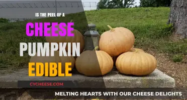 Can You Eat Cheese Pumpkin Peel? A Tasty Truth Revealed