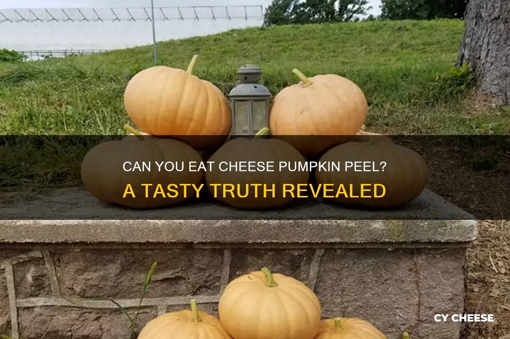is the peel of a cheese pumpkin edible