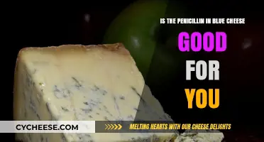 Blue Cheese's Penicillin: Health Benefits or Hidden Risks?
