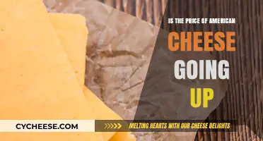 Rising American Cheese Prices: What’s Driving the Cost Increase?