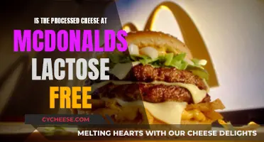 McDonald's Cheese: Lactose-Free or Not?