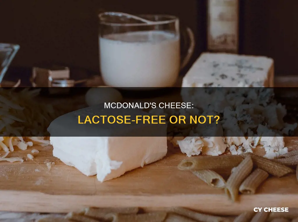 is the processed cheese at mcdonalds lactose free