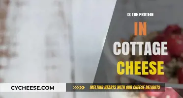 Cottage Cheese Protein Power: Unlocking Nutritional Benefits and Facts