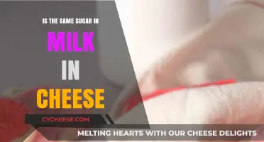 Milk, Cheese, and Sugar: Unraveling the Sweet Truth in Dairy