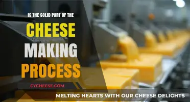 The Solid Truth: Understanding Cheese Making's Crucial Solidification Process