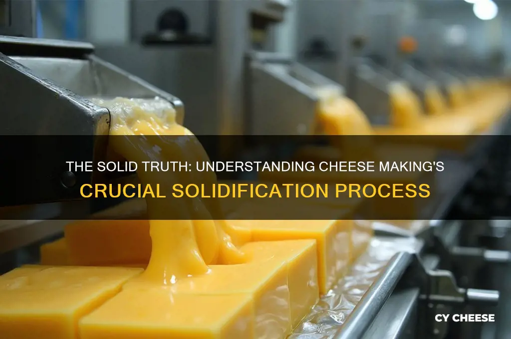 is the solid part of the cheese making process