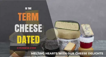 Is 'Cheese' a Dated Term? Exploring Modern Food Language