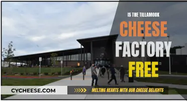 Tillamook Cheese Factory: A Free, Fun Experience