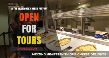 Tillamook Cheese Factory Tours: Open for Visitors?