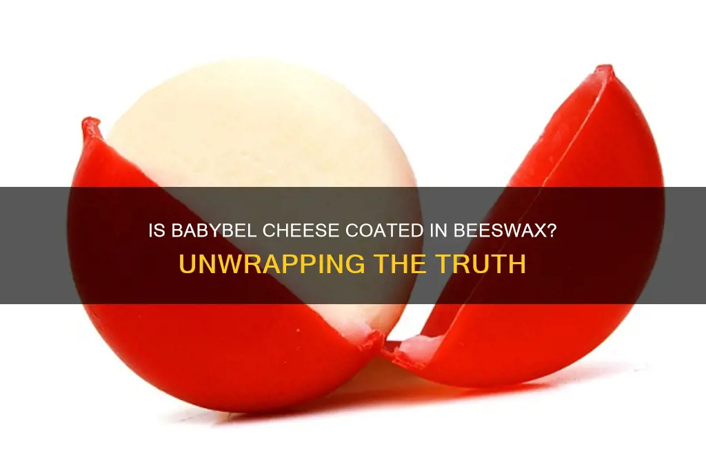is the wax on babybel cheese bees wax