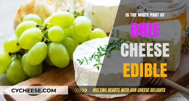 Can You Eat the White Rind on Brie Cheese? A Guide
