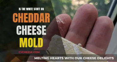 Is the White Stuff on Cheddar Cheese Mold? Unraveling the Mystery