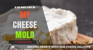 Is the White Stuff on My Cheese Mold or Safe to Eat?