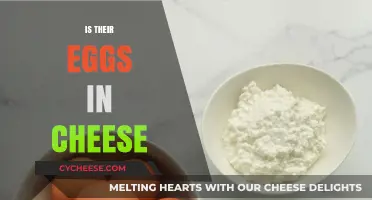 Are There Eggs in Cheese? Unraveling the Ingredients Mystery