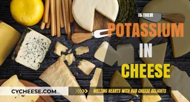 Does Cheese Contain Potassium? Uncovering the Nutritional Facts
