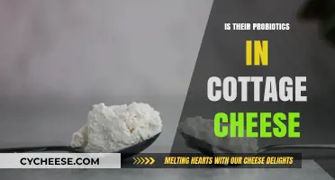 Cottage Cheese and Probiotics: Unveiling the Gut-Friendly Benefits Inside