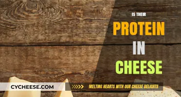 Does Cheese Contain Protein? Uncovering the Nutritional Facts