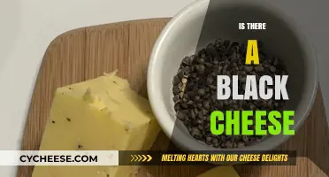 Exploring the Rarity: Does Black Cheese Really Exist?