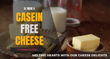 Finding Casein-Free Cheese: What Are Your Options?