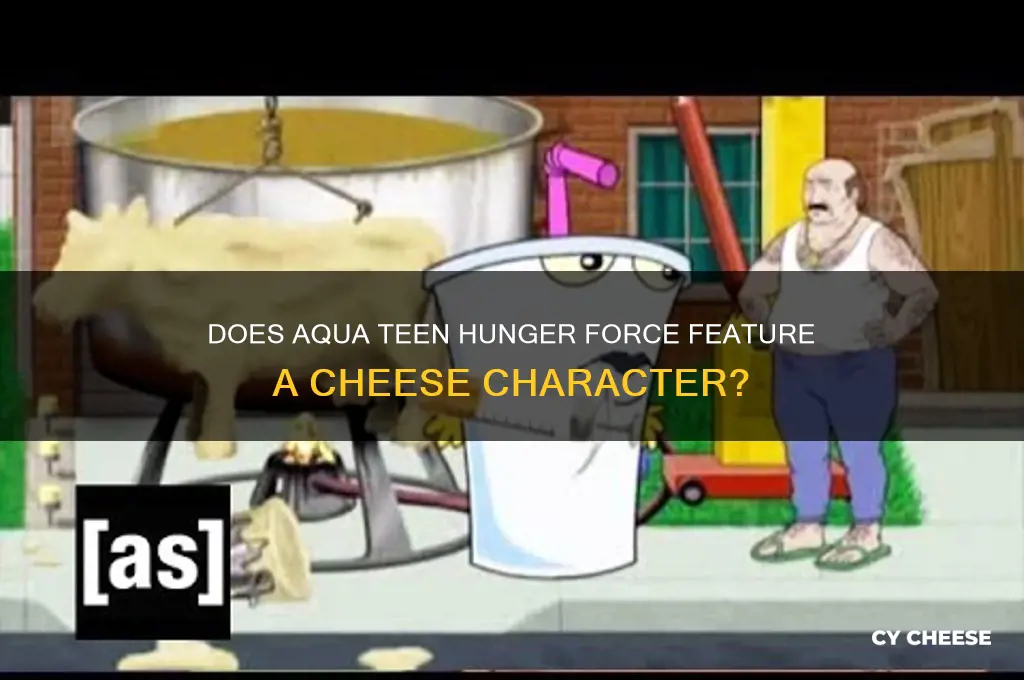 is there a cheese character in aqua teen hunger force