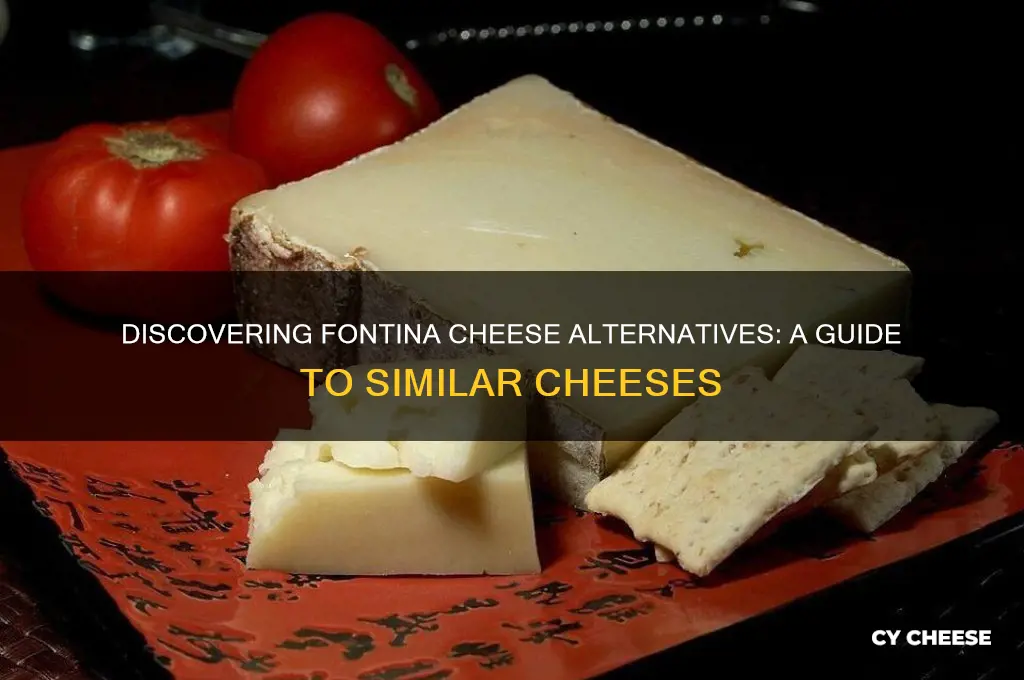 is there a cheese comparible to fontina cheese