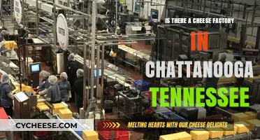 Exploring Chattanooga: Does This Tennessee City Have a Cheese Factory?