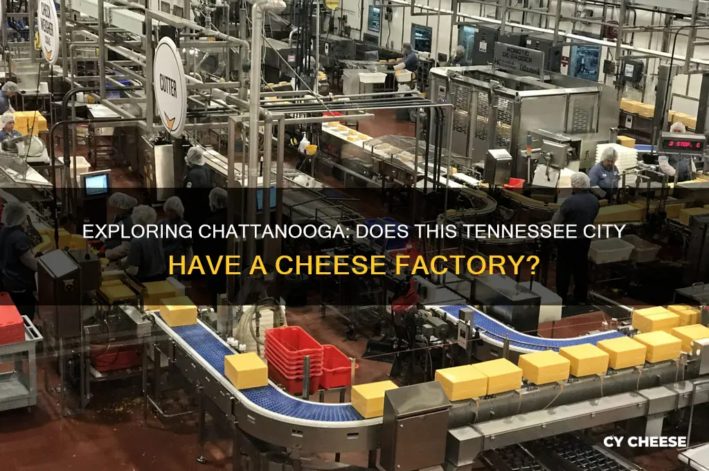 is there a cheese factory in chattanooga tennessee
