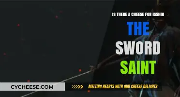 Cheese Tactics: Defeating Isshin, the Sword Saint in Sekiro