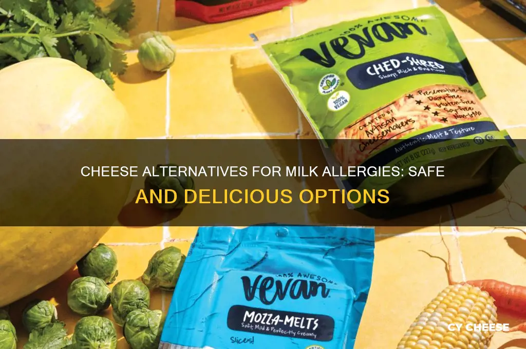 is there a cheese for people woth milk allergy