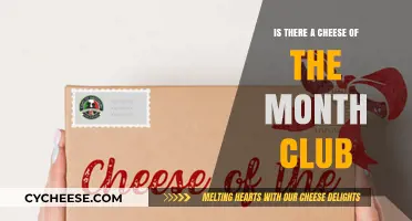 Discover Monthly Cheese Delights: Is There a Cheese of the Month Club?