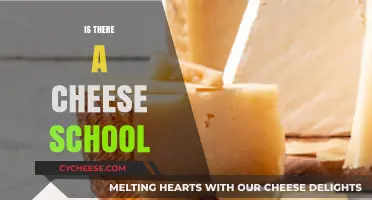 Exploring the World of Cheese: Are There Dedicated Cheese Schools?
