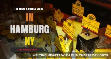 Discover Hamburg NY's Best Cheese Shops: A Tasty Guide